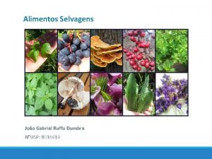 Alimentos Selvagens Joo Gabriel Ruffo Dumbra NUSP 8016919