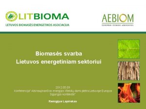 Biomass svarba Lietuvos energetiniam sektoriui 2012 05 09