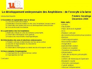 Le dveloppement embryonnaire des Amphibiens de lovocyte la