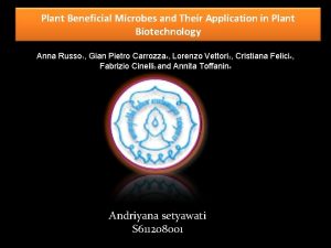Plant Beneficial Microbes and Their Application in Plant
