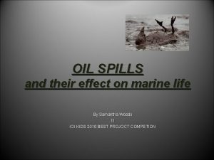 OIL SPILLS and their effect on marine life