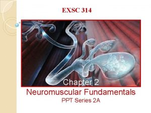 EXSC 314 Chapter 2 Neuromuscular Fundamentals PPT Series