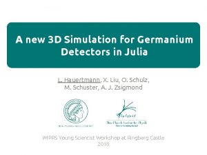 A new 3 D Simulation for Germanium Detectors