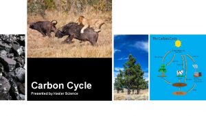 Carbon Cycle Presented by Kesler Science Essential Questions