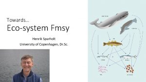 Towards Ecosystem Fmsy Henrik Sparholt University of Copenhagen