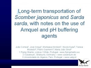 LLongterm transportation of Scomber japonicus and Sarda sarda