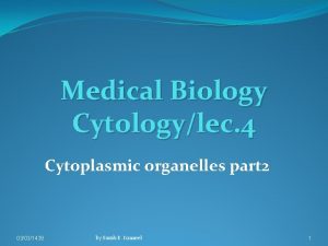 Medical Biology Cytologylec 4 Cytoplasmic organelles part 2