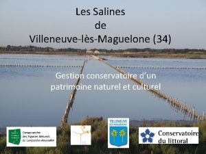 Les Salines de VilleneuvelsMaguelone 34 Gestion conservatoire dun