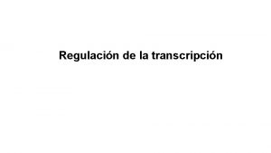 Regulacin de la transcripcin Flujo de la informacin