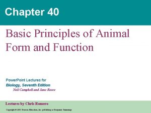 Chapter 40 Basic Principles of Animal Form and