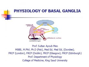 PHYSIOLOGY OF BASAL GANGLIA Prof Sultan Ayoub Meo