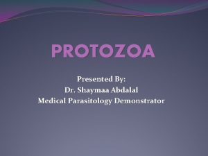 PROTOZOA Presented By Dr Shaymaa Abdalal Medical Parasitology