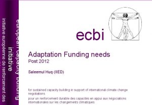 Adaptation Funding needs Post 2012 Saleemul Huq IIED