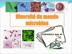 Diversit du monde microbien CHIKHAOUI Med Ali Introduction