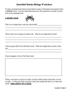 Intertidal Marine Biology Worksheet For this scavenger hunt