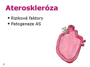 Aterosklerza Rizikov faktory Patogeneze AS 1 Aterosklerza AS