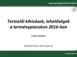 Termeli kihvsok lehetsgek a termnypiacokon 2016 ban Potori