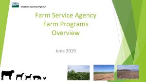 Farm Service Agency Farm Programs Overview June 2019