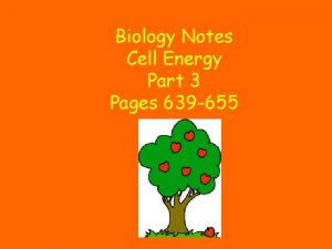 Biology Notes Cell Energy Part 3 Pages 639