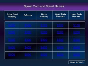 Spinal Cord and Spinal Nerves Spinal Cord Anatomy