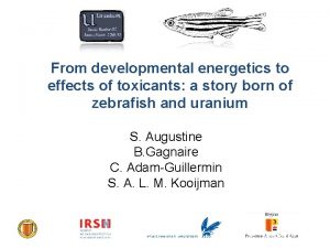 From developmental energetics to effects of toxicants a