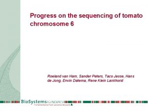 Progress on the sequencing of tomato chromosome 6