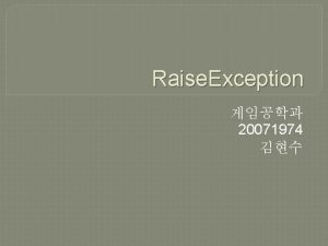 Raise Exception 20071974 VOID Raise Exception DWORD dw