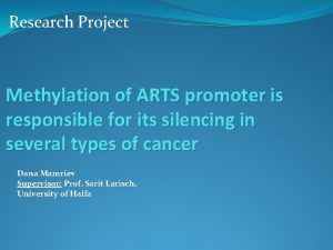 Research Project Methylation of ARTS promoter is responsible