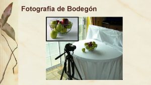 Fotografa de Bodegn Bodegn o Naturaleza Muerta Son