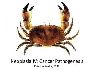 Neoplasia IV Cancer Pathogenesis Kristine Krafts M D