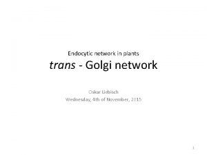 Endocytic network in plants trans Golgi network Oskar