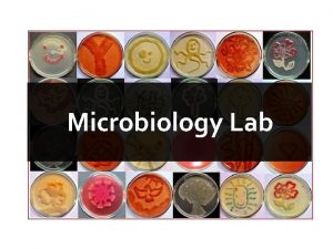 Microbiology Lab King Saud University Dept of Bot