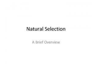 Natural Selection A Brief Overview Descent with Modification
