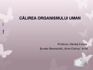 CLIREA ORGANISMULUI UMAN Profesor Hrdu Corina coala Gimnazial