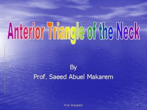 By Prof Saeed Abuel Makarem Prof Makarem 1