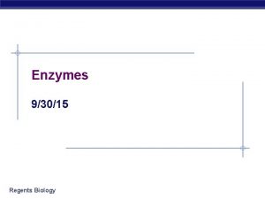 Enzymes 93015 Regents Biology ACT Regents Biology Brain