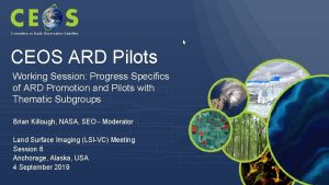 Committee on Earth Observation Satellites CEOS ARD Pilots