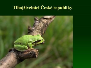 Obojivelnci esk republiky Fauna obojivelnk R celkem 20