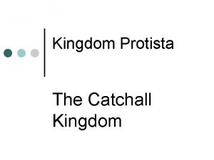Kingdom Protista The Catchall Kingdom Algae Characteristics of