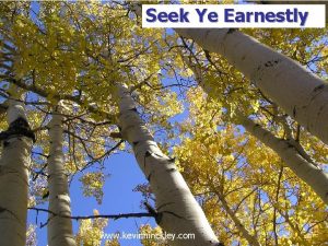 Seek Ye Earnestly www kevinhinckley com More Kid