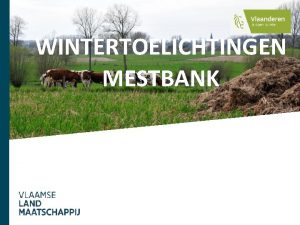 WINTERTOELICHTINGEN MESTBANK SNapp Staal Name Applicatie SNapp Staal