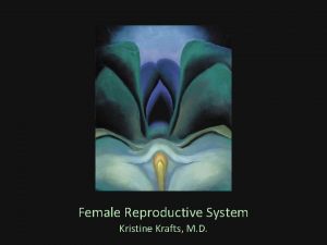 Female Reproductive System Kristine Krafts M D Female