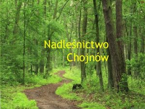 Nadlenictwo Chojnw Historia nadlenictwa i miejscowych lasw Nadlenictwo