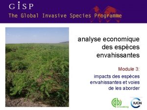 analyse economique des espces envahissantes Module 3 impacts