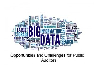 Opportunities and Challenges for Public Auditors Big data