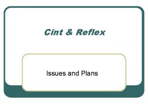 Cint Reflex Issues and Plans What we want