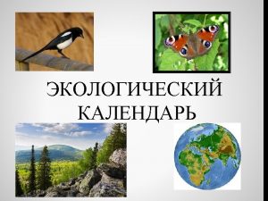 Https //yandex.ru/images/search text