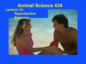 Animal Science 434 Lecture 14 Reproductive Behavior Reproductive