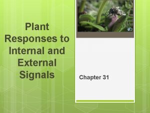 Plant Responses to Internal and External Signals Chapter