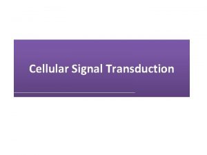 Cellular Signal Transduction Organisms can function normally only